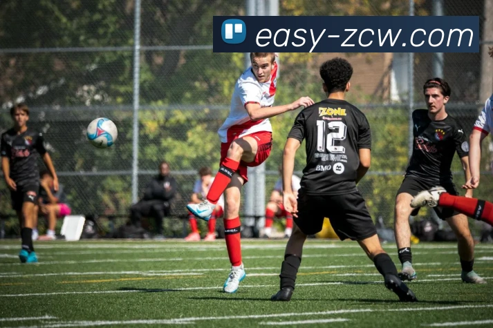 足彩网平台生态图