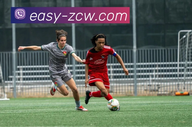 足彩网APP 封面图